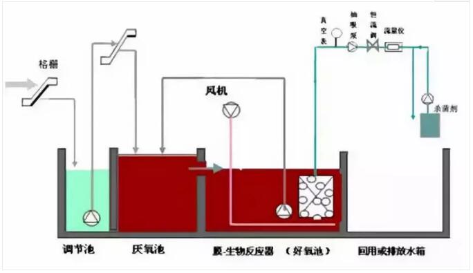 QQ44.jpg